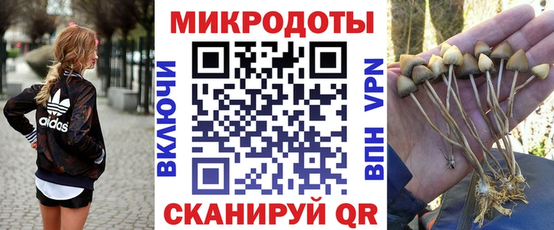 где продают наркотики  Лахденпохья  Псилоцибиновые грибы GOLDEN TEACHER 